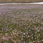 Berghaus Aussergschloess Matrei in Osttirol