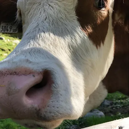 Berghaus Aussergschloess * Matrei in Osttirol