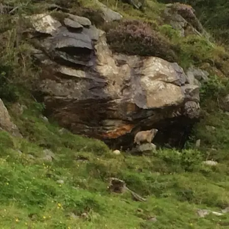 Berghaus Aussergschloess Affittacamere