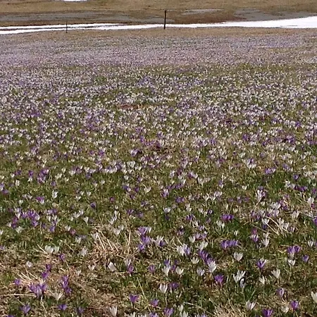 Berghaus Aussergschloess Matrei in Osttirol