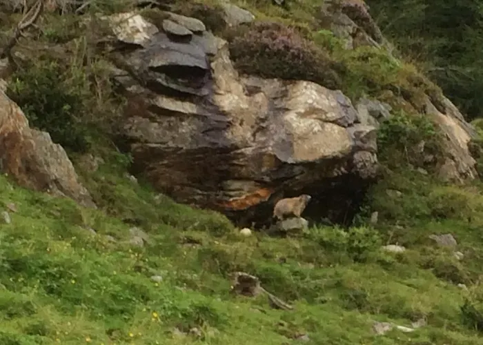 Berghaus Aussergschloess Penzion