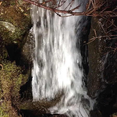 Pensjonat Berghaus Aussergschloess