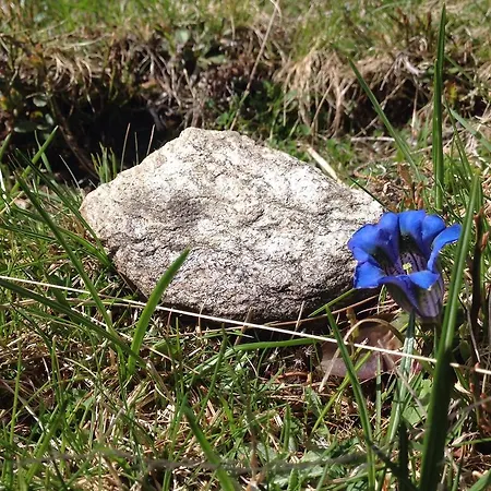 Berghaus Aussergschloess Pensjonat